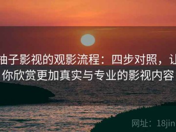 柚子影视的观影流程：四步对照，让你欣赏更加真实与专业的影视内容