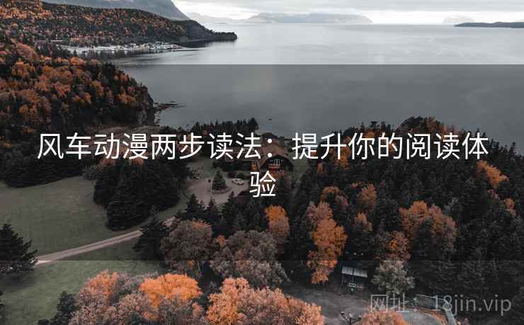 风车动漫两步读法：提升你的阅读体验