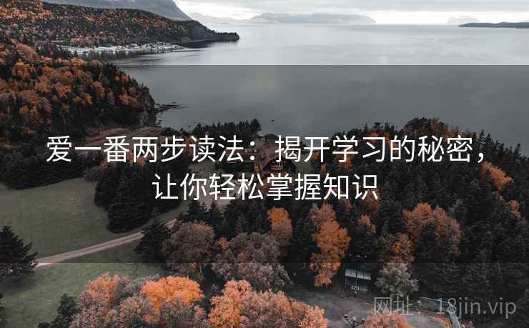 爱一番两步读法：揭开学习的秘密，让你轻松掌握知识