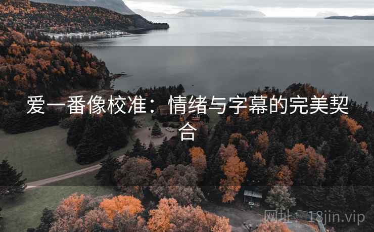爱一番像校准:情绪与字幕的完美契合 爱一番像校准:情绪与字幕的完美契合