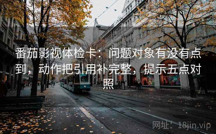 番茄影视体检卡：问题对象有没有点到，动作把引用补完整，提示五点对照