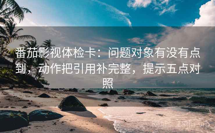 番茄影视体检卡：问题对象有没有点到，动作把引用补完整，提示五点对照