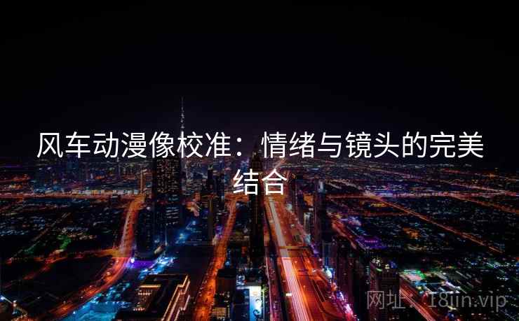 风车动漫像校准：情绪与镜头的完美结合