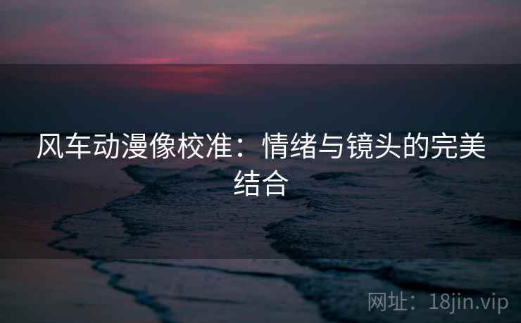风车动漫像校准：情绪与镜头的完美结合